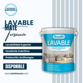 Lavable Interior Mate x 20 litros